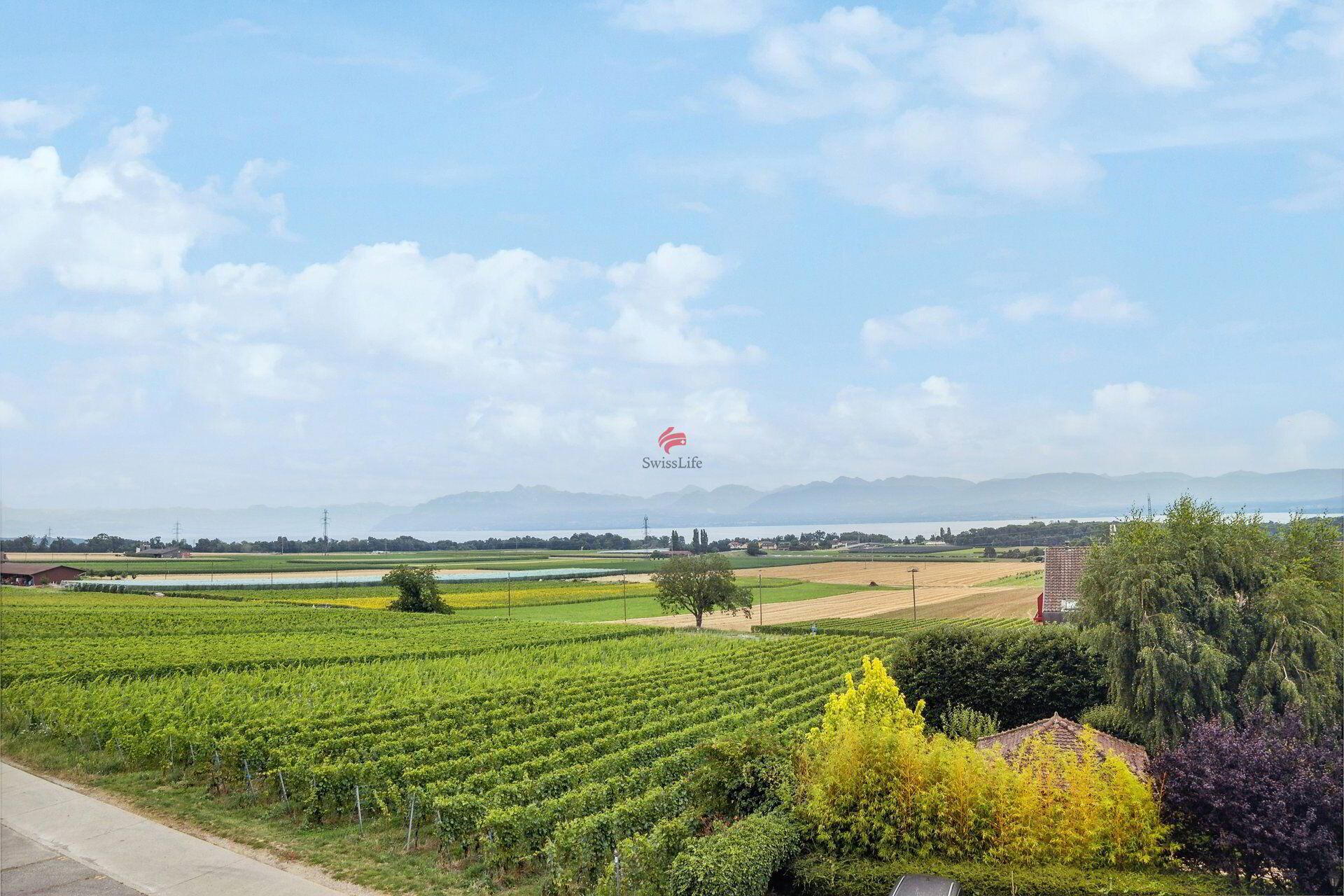 Villa mitoyenne au cœur des vignes avec vue sur le Lac & les Alpes