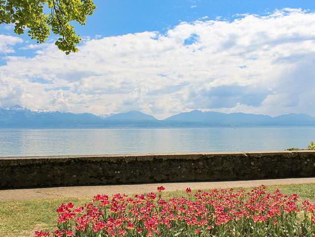 MORGES WEST - BEAUTIFUL DUPLEX - 5.5 ROOMS