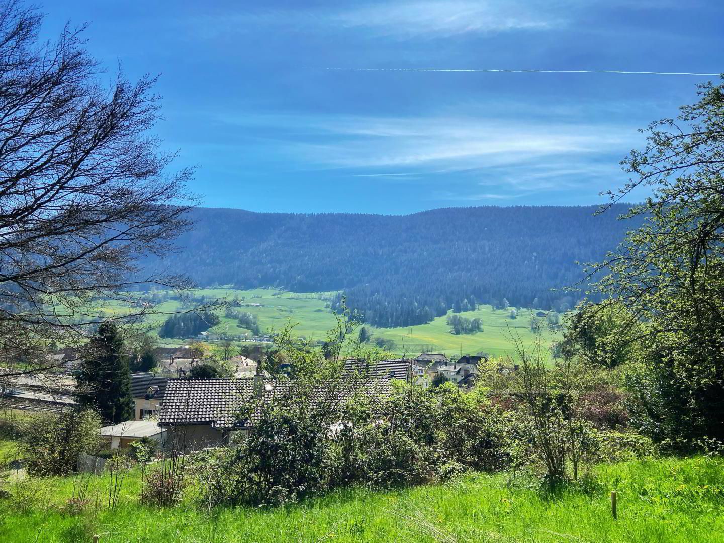 A SAISIR ! SUPERBE VILLA AU COEUR D'UN ÉCRIN DE VERDURE