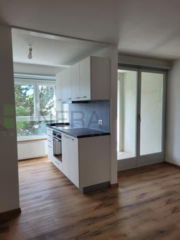 Renovated apartment of 47.50 m2 With elevator & balcony