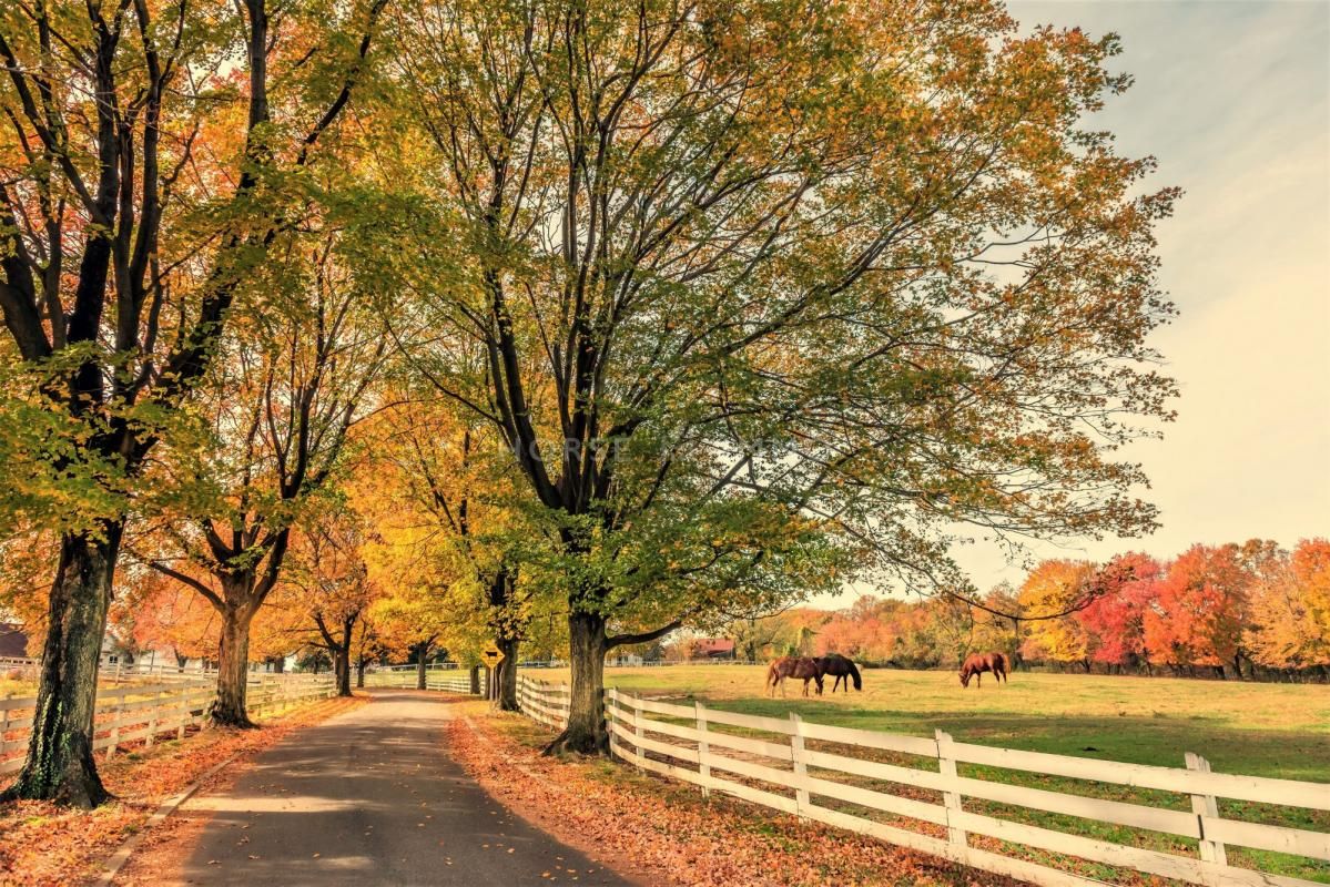 Superbe Domaine Equestre en Région Parisienne