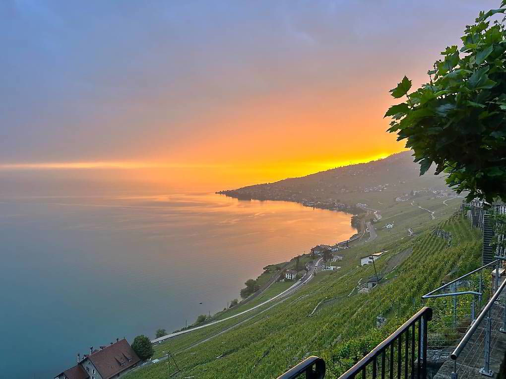 Perché dans le Lavaux - sublime et unique