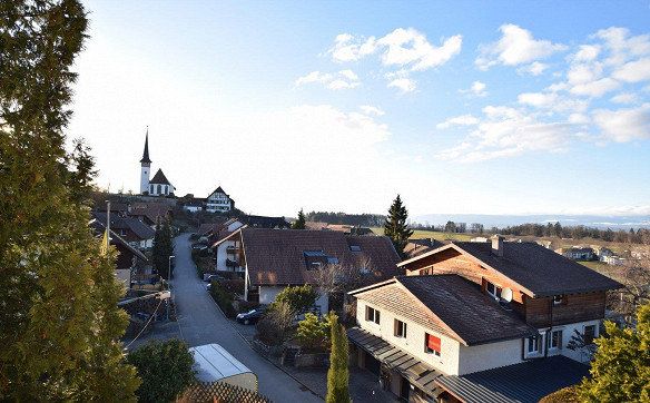 Geniessen Sie die Skyline von Mühleberg