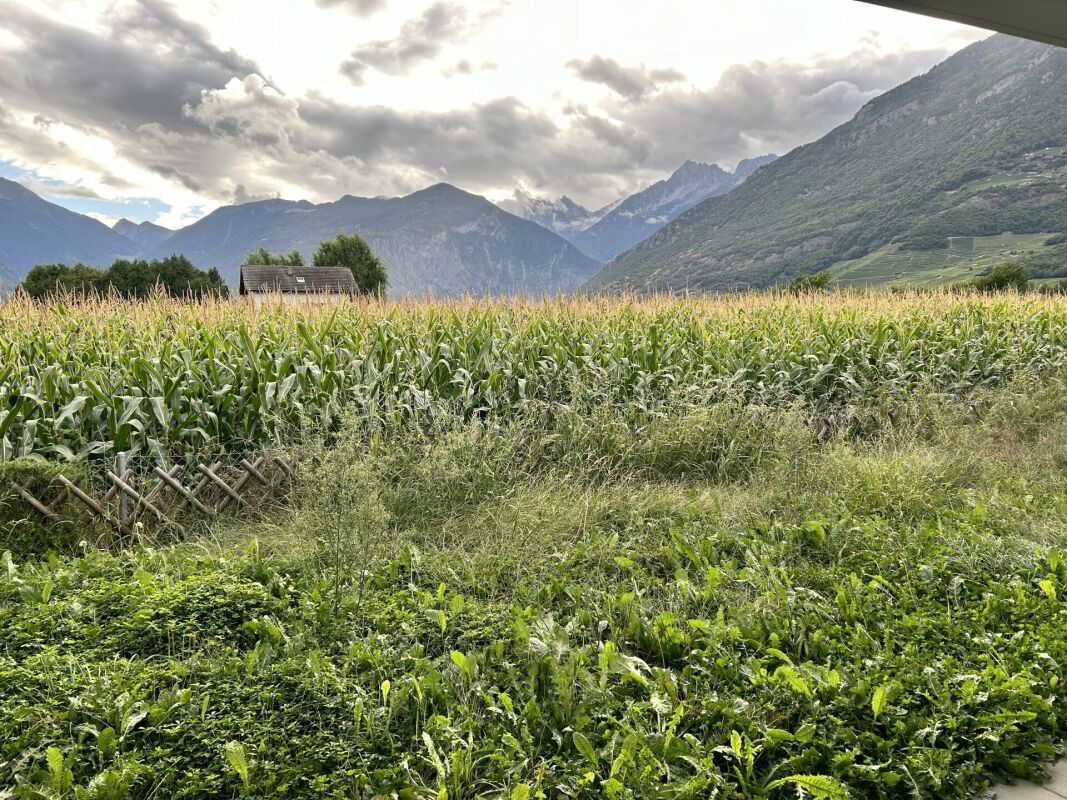 Spacieux 3,5 avec jardin