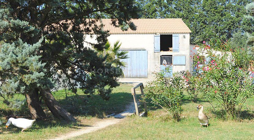 Camargue - Propriété de 7,5 hectares