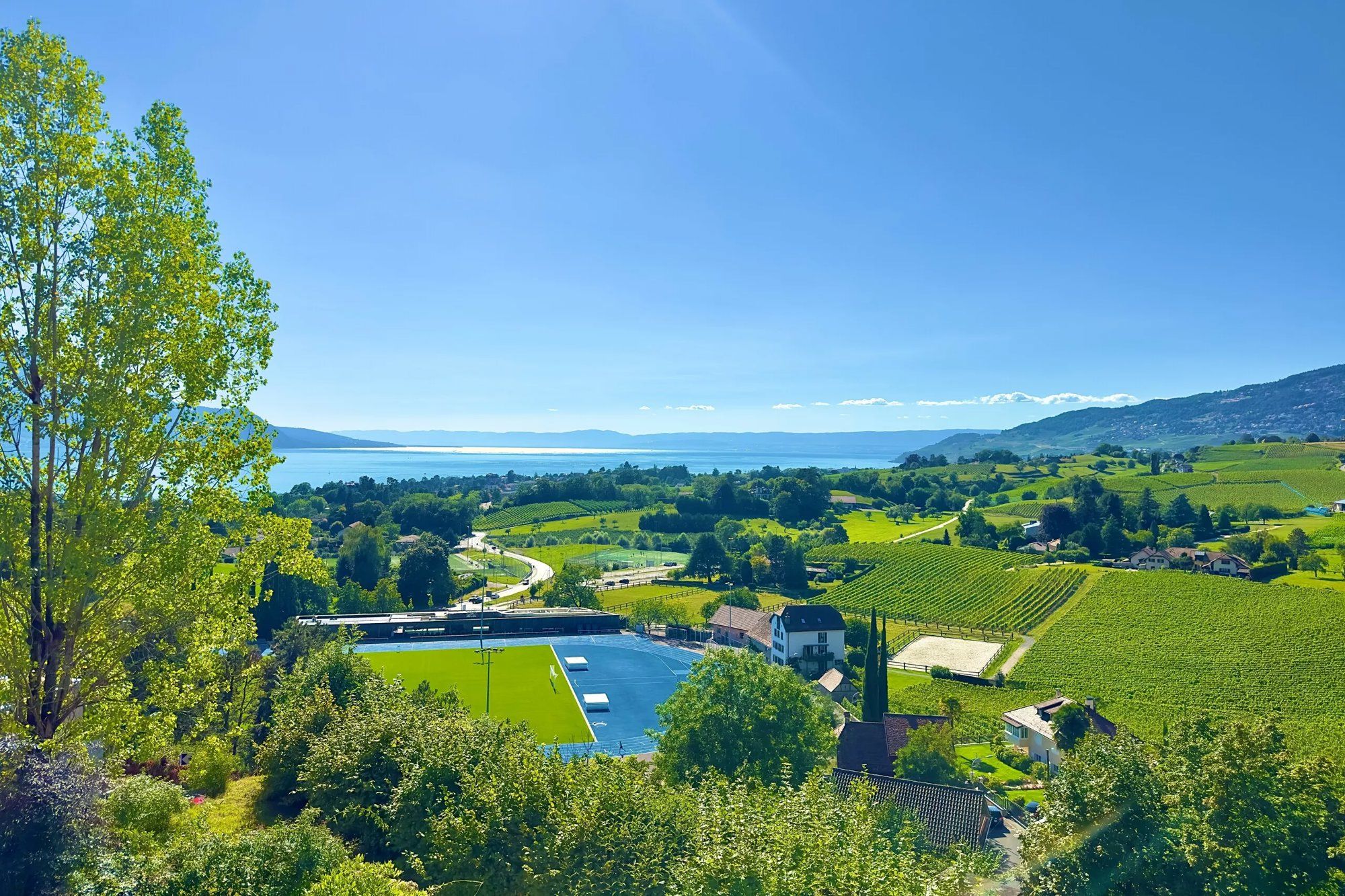 Appartement de 2.5 pièces avec vue sur le lac !