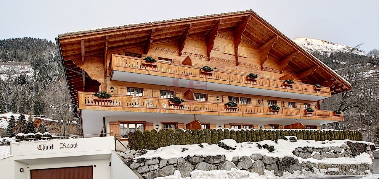 Château-d'Oex - Joli 2 pièces au rez-de-jardin avec grand terrasse