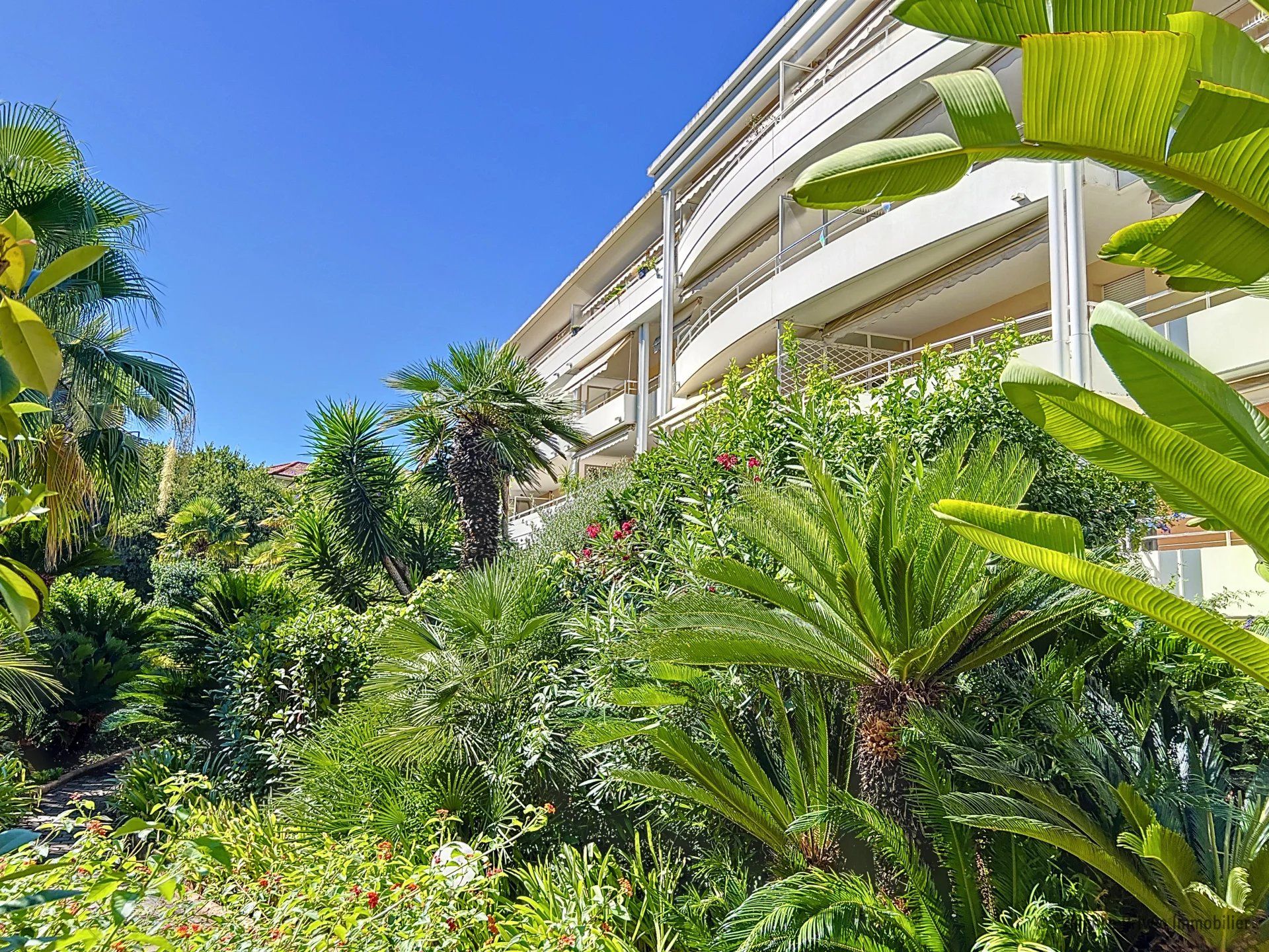 Cannes : Type 2 dernier étage, terrasse spacieuse, piscine et stationnement privé