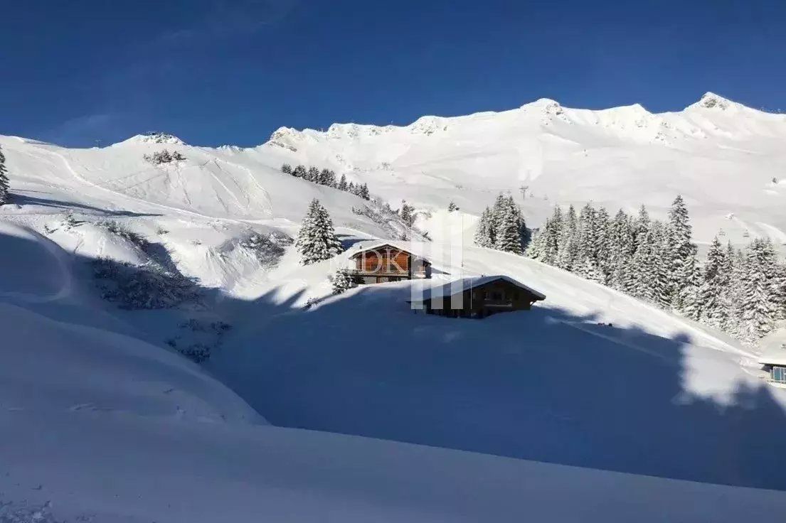 Rare ! Magnifique chalet rénové sur les pistes