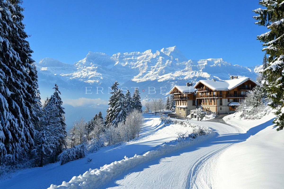 Magnifique chalet de montagne avec vue imprenable