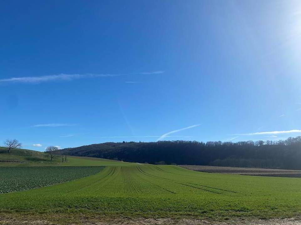 A 8 minutes de Cossonay, avec possibilité de faire une