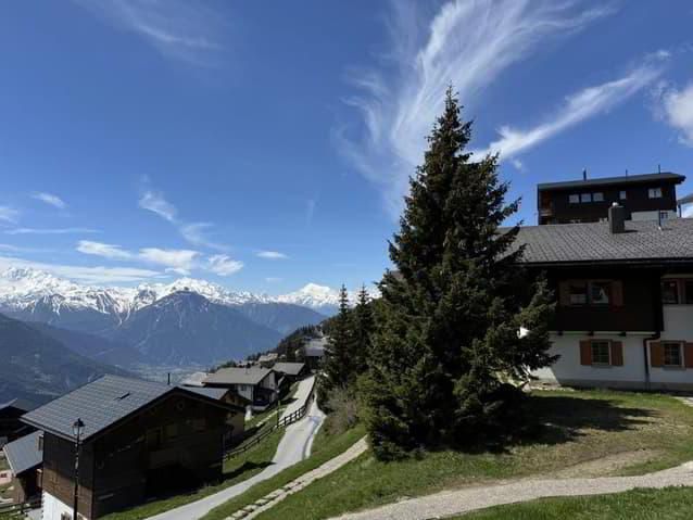 Charming Kleinwohnung on the Bettmeralp