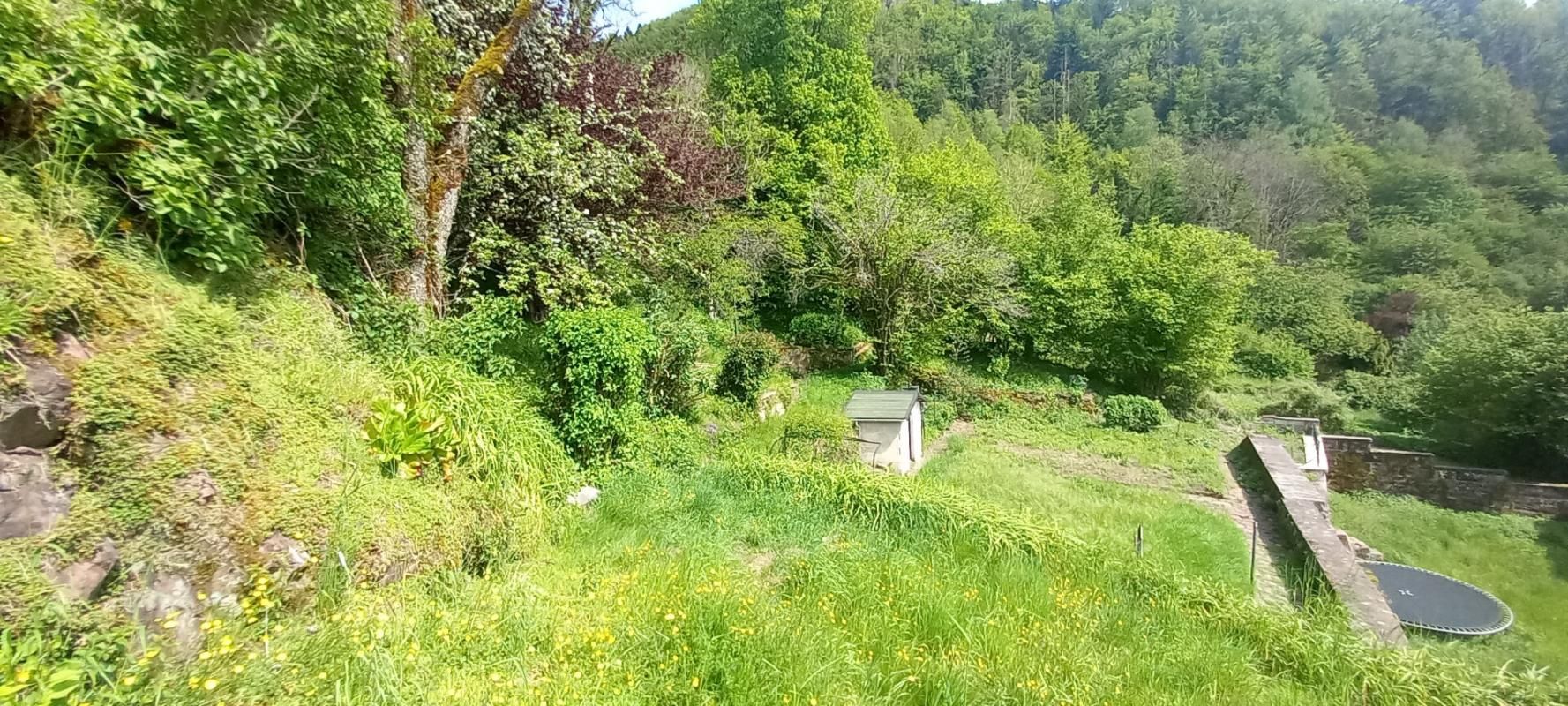 Maison Bourgeoise du 18ème  aux 1000 Etangs