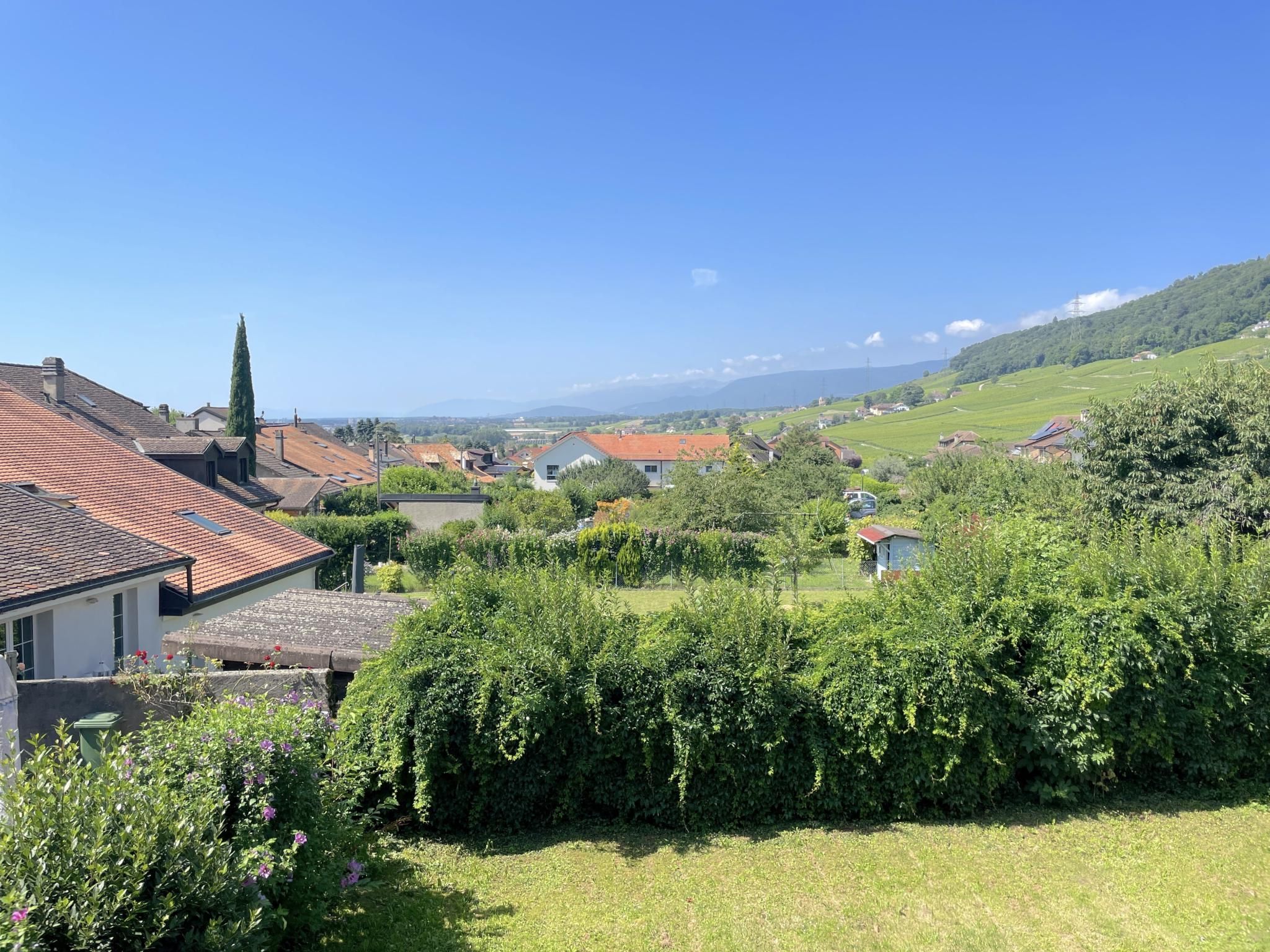 Maison de Vigneron au Coeur de Bursins - Charme et Potentiel Unique