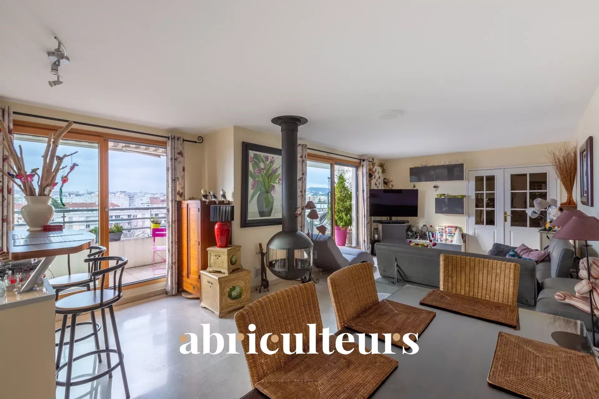 Magnifique appartement T4 de 103m2 avec deux terrasses - Vue Basilique Notre-Dame de Fourvière