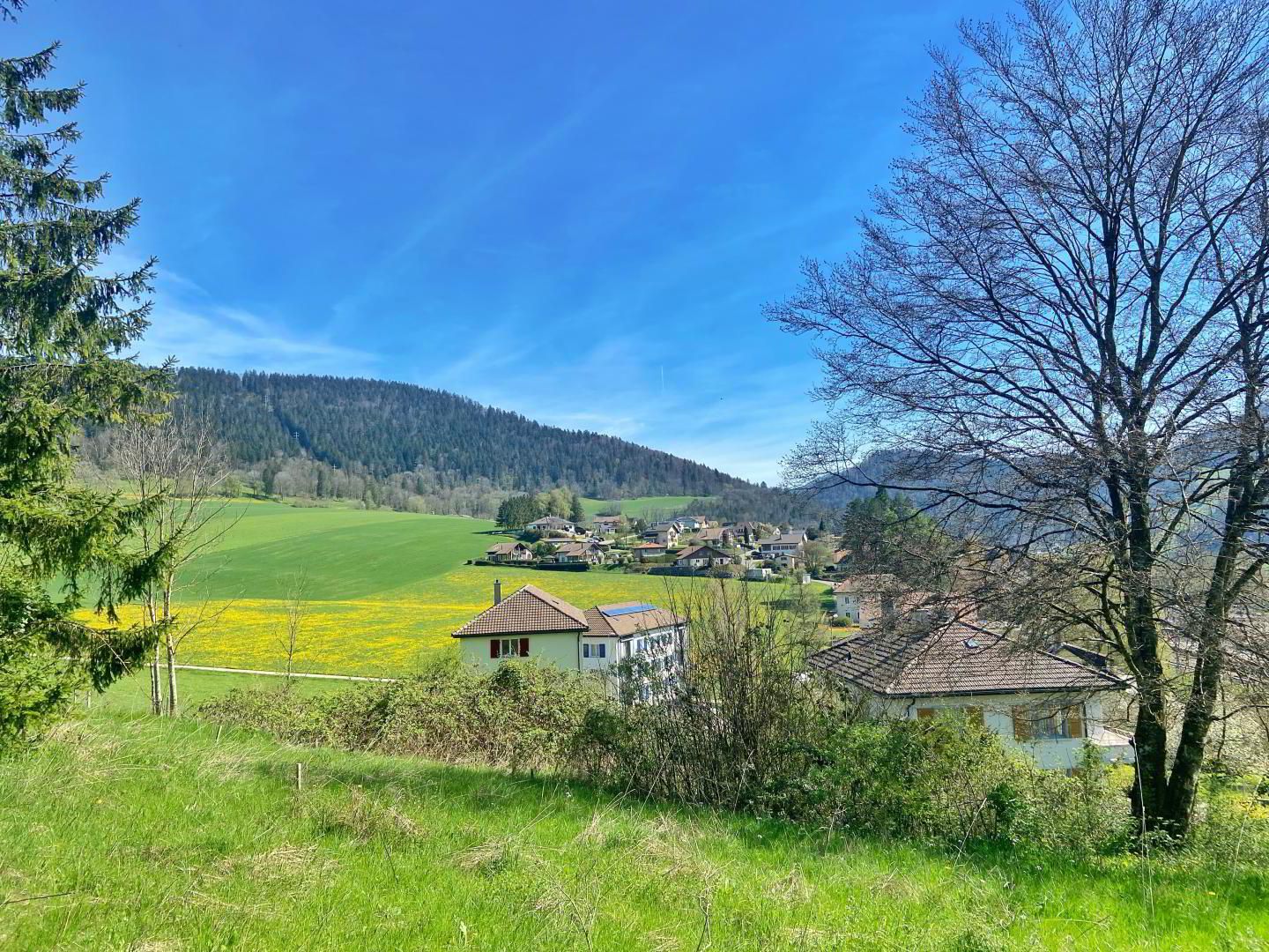 A SAISIR ! SUPERBE VILLA AU COEUR D'UN ÉCRIN DE VERDURE