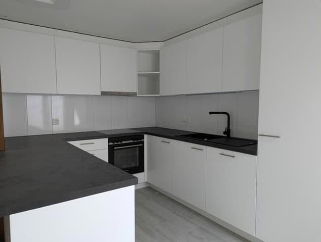 Beautiful and large renovated 4.5 room duplex with balcony...