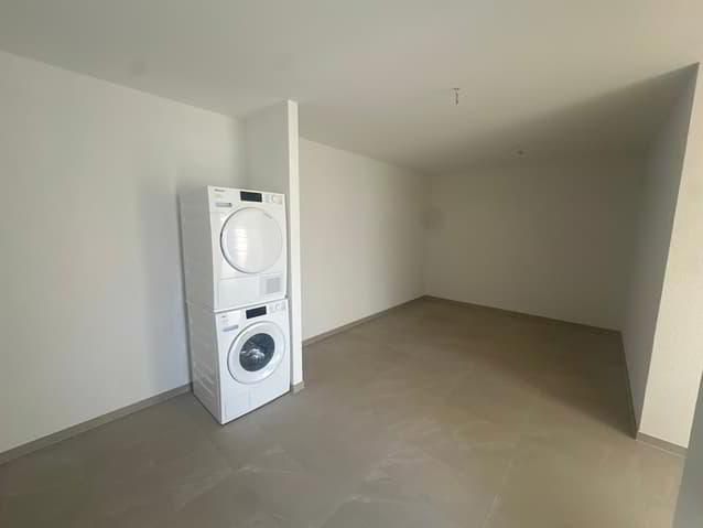 2 room studio in Leytron