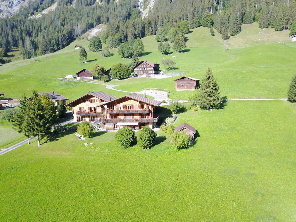 Large property with 2 chalets for sale in l'Etivaz