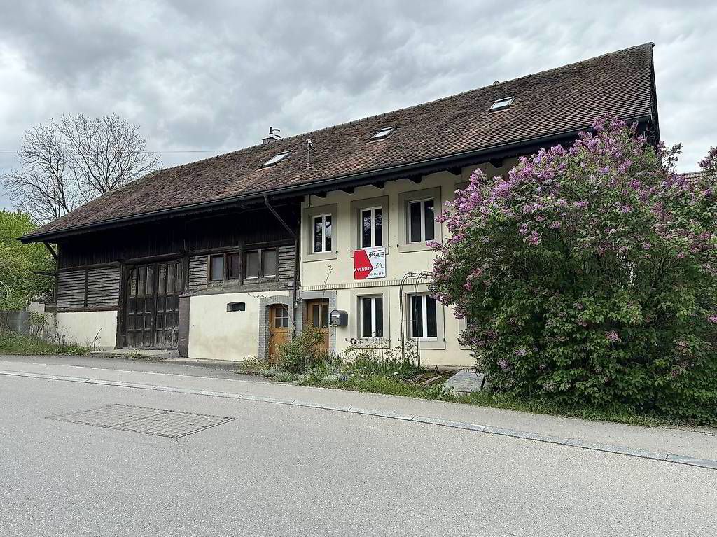 Ferme de caractère de 3 logements