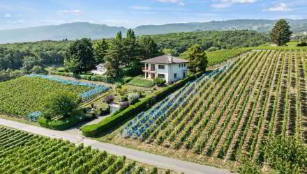 Jolie villa en plein coeur des vignes, vue lac à Begnins