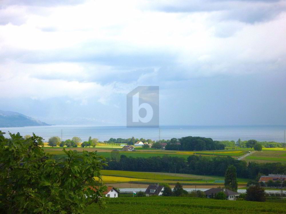 AUSSERGEWÖHNLICHER MIT TOLLEM SEEBLICK!