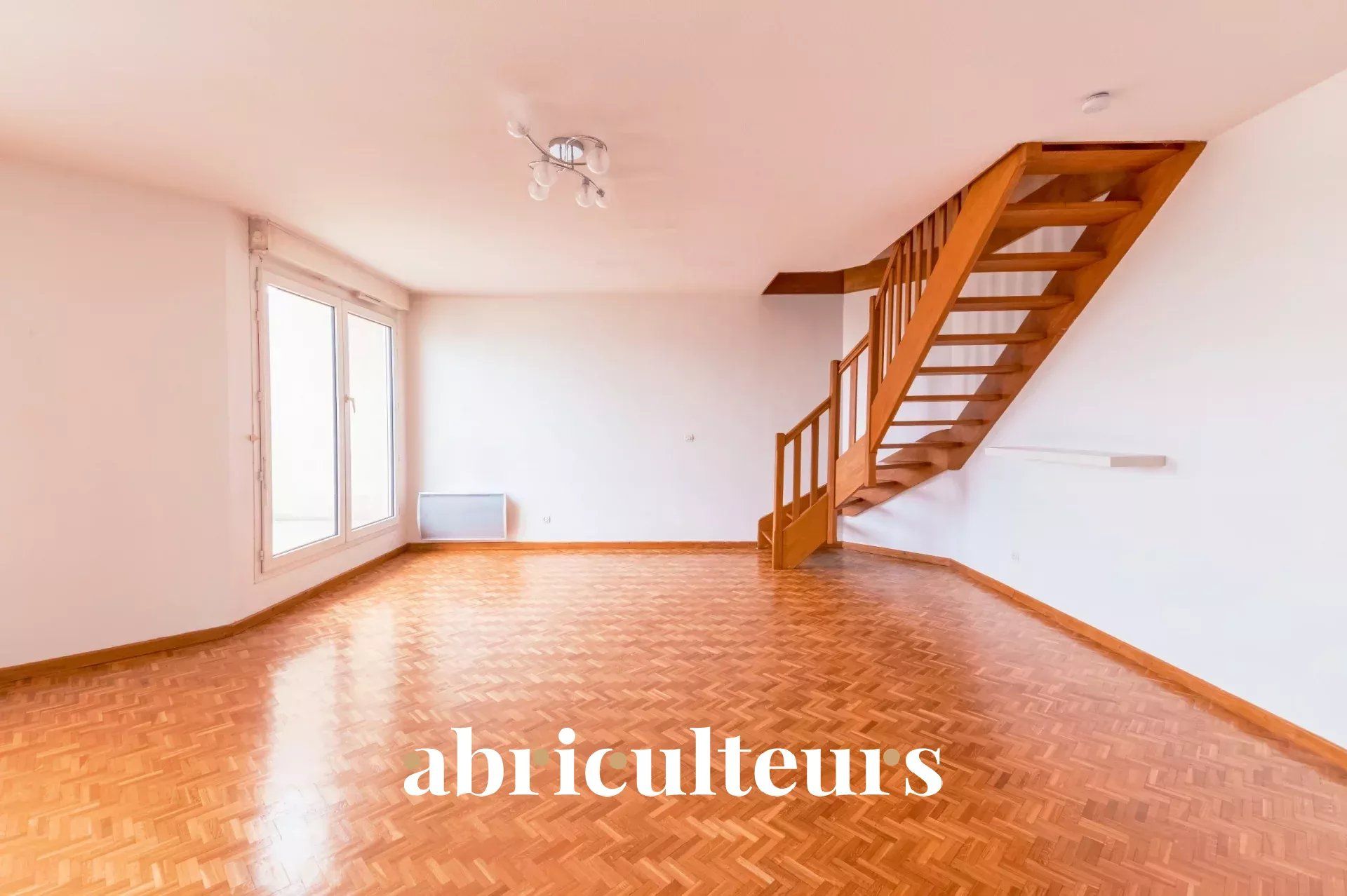 Beau T3 Duplex 73 m² avec terrasse avec vue, double garage et cave en vente - Lyon 8ᵉ