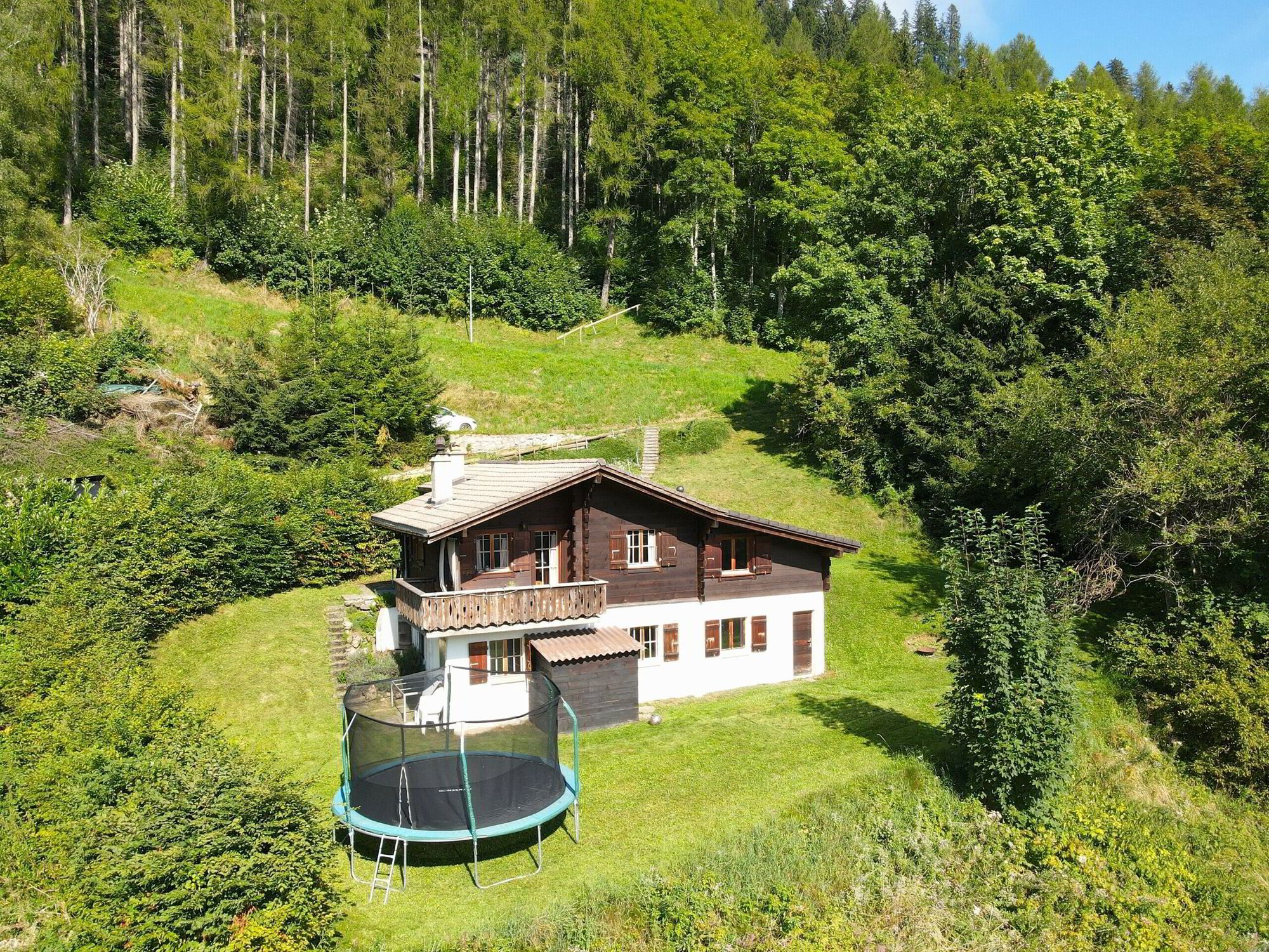 MOLESON | CHALET DE 6.5 p EN BORDURE DE FORET