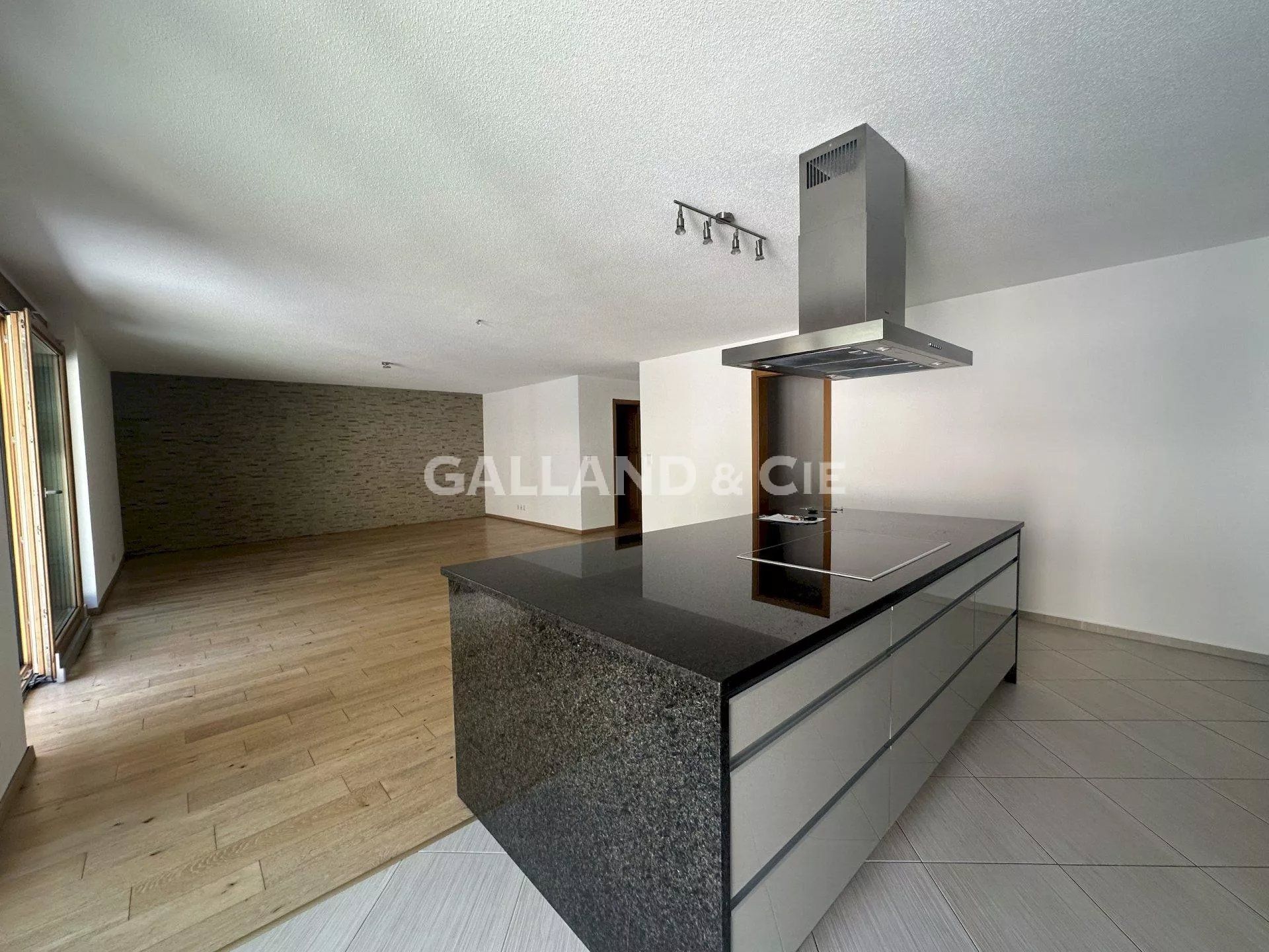 Grand appartement en copropriété à louer chemin du Dernier Mur2b.