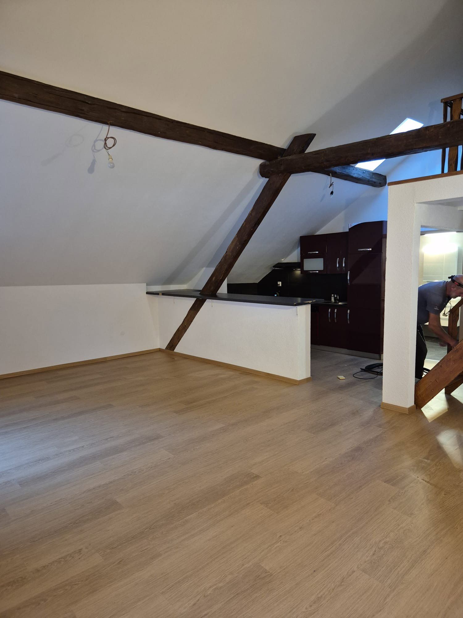 Magnifique appartement loft de 1,5 pièces