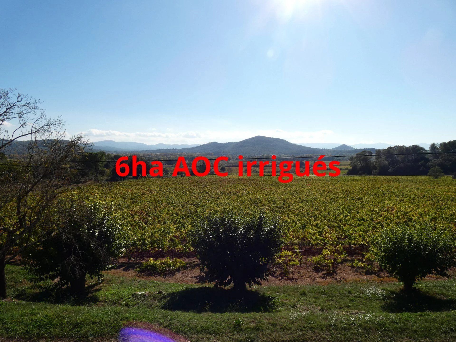 PROPRIETE VITICOLE 6HA AOC et 2ha vin de pays - ENTRE LES ARCS ET LORGUES