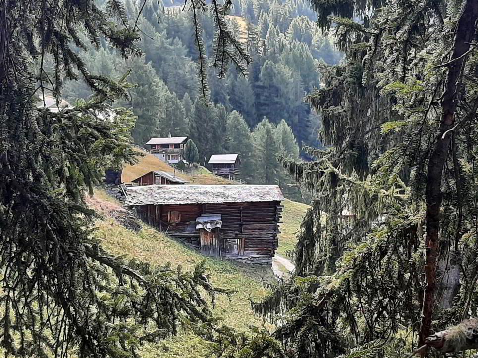 Mayen from 1850 to renovate completely near the Chalet des Alpes