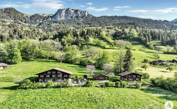 Liebhaberobjekte im Simmental