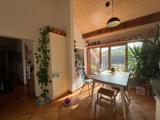 Apartment in the attic with mezzanine