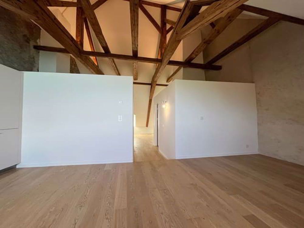 A louer" Magnifique LOFT neuf de 2,5 pièces dans maison vigneronne