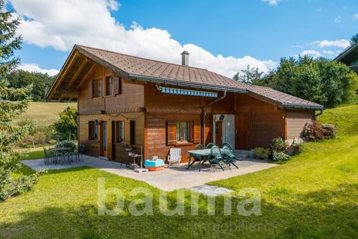 Family chalet in an authentic village