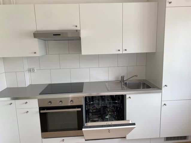 Nice 4.5 room apartment close to the train station