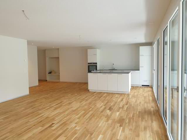 4.5 Zimmerwohnung im 2. OG NEUBAU 2022!