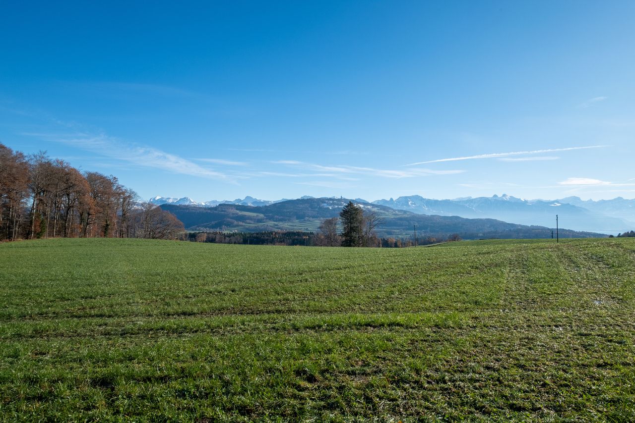 Villa de 6 pièces en pleine nature