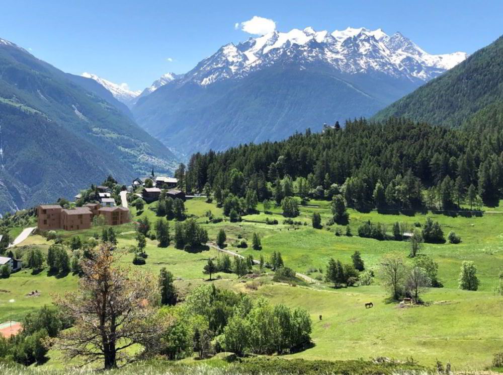 Wohnen im Grünen und Kühlen unweit von Visp (C21)