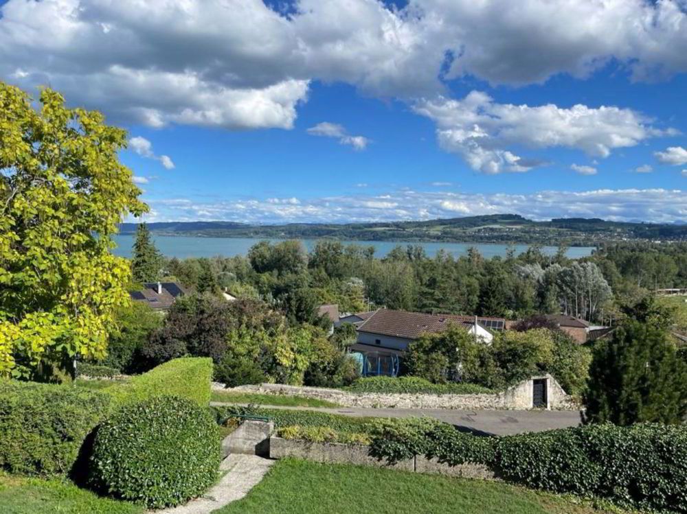 MAGNIFIQUE vue sur le lac, bel appartement lumineux sur tout l'étage avec grand balcon et terrasse. Orientation Est-Sud-Ouest